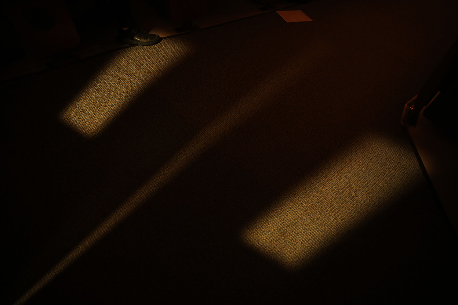 Light from the hallway shown through the back doors